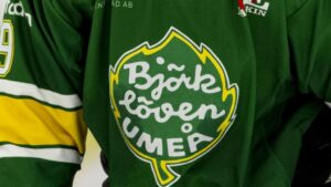 Björklöven stänger arenan – behöver nytt undertak