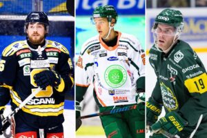 De allsvenska spelarna som skulle kunna bli stjärnor i Hockeyettan