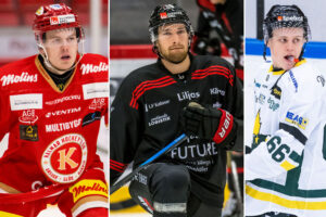 Spelarna som kan skeppas från HockeyAllsvenskan till Hockeyettan