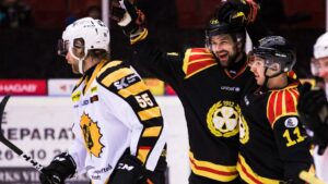 Doldis hjälte när Brynäs nollade Skellefteå