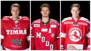 Hockeyallsvenskans stora statistiska summering 2017/18