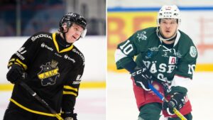 Han förstärker HockeyEttanlaget