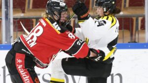 Finalserien skjuts upp – smitta i Brynäs