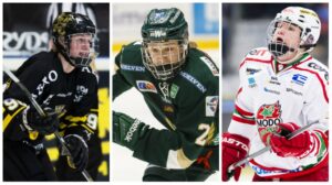 Tre svenskar rankas högt inför nästa års NHL-draft