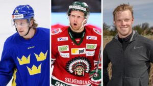 Sammanställning: Så har de 14 SHL-lagen värvat