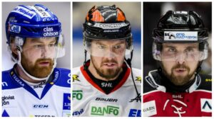 Stor genomgång – så ser trupperna i Hockeyallsvenskan ut