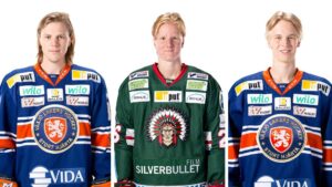 De gör upp om rookie-titeln i SHL