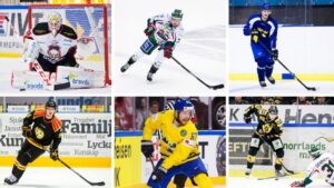 Sveriges officiella All Star Team säsongen 2016/2017 är här