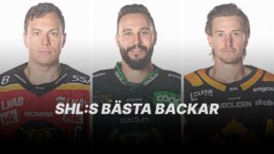 RANKING: SHL:s bästa backar 2021