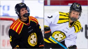 Erbjöds förlängning – men stjärnorna lämnar Brynäs