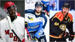 KARLSSON: De är HockeyAllsvenskans 15 bästa värvningar