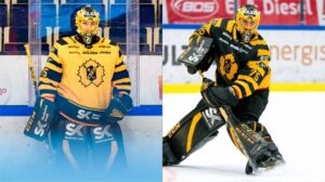 2019: HockeyEttan – 2021: NHL-kontrakt