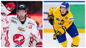 Tingsryd spikar truppen: Tidigare SHL-center och JVM-back ansluter