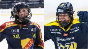 Fem övergångar som sticker ut – inom SDHL