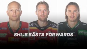 RANKING: SHL:s bästa forwards 2021