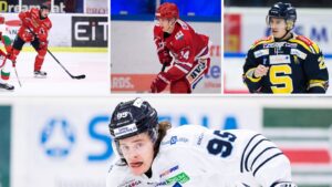 RANKING: 15 allsvenska spelare som kan spela i SHL nästa säsong