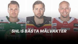 RANKING: SHL:s bästa målvakter 2021