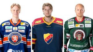 De kan bli årets värdefullaste i SHL