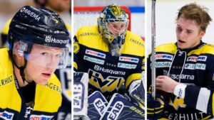 Kandidaterna till årets rookie klara – någon från HV71 kommer vinna