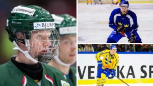 Backduon missar matchen mot Kanada – Dahlin ersätter