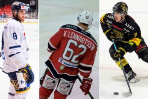 De allsvenska värvningarna från Hockeyettan – så kommer de färga