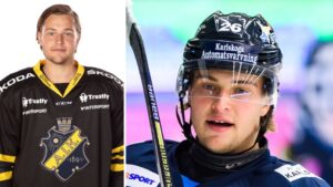 Stockholmaren har kommit “hem” till Ljungby