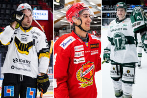 Tio spelare i Hockeyettan som kan värvas till Hockeyallsvenskan