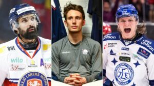 Så har lagen i Hockeyallsvenskan värvat inför 2020/21