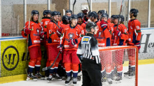 Hanhals IF drar sig ur kvalserien till Hockeyettan