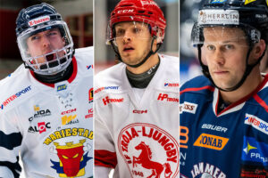 Tio synnerligen intressanta free agents i Hockeyettan