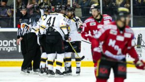 Det lugnande beskedet – Pantern får stanna i Hockeyallsvenskan