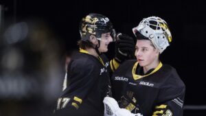 Hockey på tv i dag: Dags för Slutspelsserien