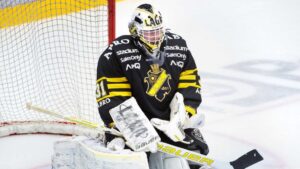 Tidigare Honken Trophy-vinnaren kliver in hos Hockeyettanklubben