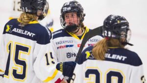 SDHL-SVEPET: Kampen om hemmafördelen lever serien ut