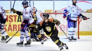 SHL-domare utsatt för hot – valde att stå över match