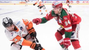 Uppgifter: Allsvenska klubben värvar back från SHL