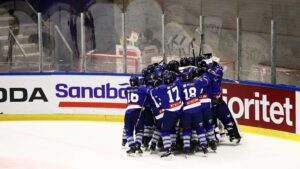 De var bäst i TV-pucken – här är de individuella priserna