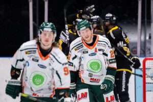 MJÖRNBERG: Play-out – det gynnar inte Hockeyettan