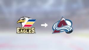 Mikhail Maltsev plockas upp till Colorado Avalanche i NHL