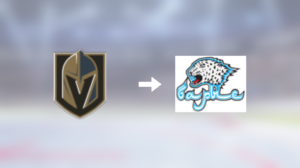 Förre Vegas Golden Knights-spelaren får ny klubbadress: Spel i Kazakhstan