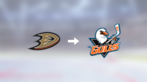 Simon Benoît får lämna Anaheim Ducks – skickas till farmarligan