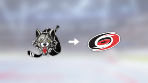 Nu plockas Alex Lyon upp till NHL – för spel med Carolina Hurricanes