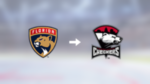 Christopher Gibson får lämna Florida Panthers – skickas till farmarligan