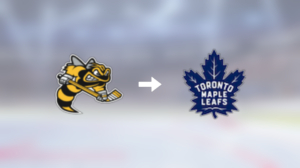 Förre Sarnia Sting-spelaren klar för spel i Toronto Maple Leafs