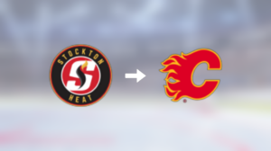 Dustin Wolf plockas upp till Calgary Flames i NHL