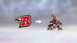 Förre Rapid City Rush-spelaren klar för spel i Arizona Coyotes