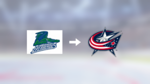 Förre Florida Everblades-spelaren klar för spel i Columbus Blue Jackets