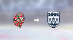 Fehérvár AV19 värvar backen Jesper Dahlroth från MoDo Hockey