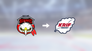 Forwarden Vincent Reimer lånas ut till KRIF Hockey