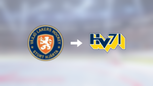 Målvakten Adam Åhman lånas ut till HV71